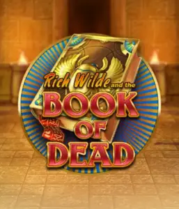 Dive into the thrilling world of Book of Dead Slot by Play'n GO, featuring vivid graphics of Rich Wilde’s adventurous journey through ancient Egyptian tombs and artifacts. Find lost riches with exciting mechanics like free spins, expanding symbols, and a gamble option. Ideal for adventure enthusiasts with a desire for unearthing secrets.